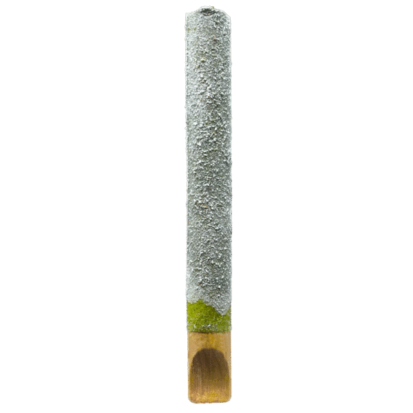 Gold Spectrum 2g Blunt with Wood Tip
