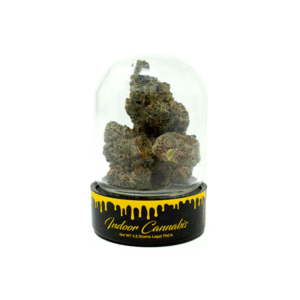 Gold Spectrum 3.5 jar loose Flower